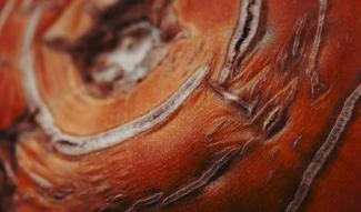 Close-up of an unperfect tomato