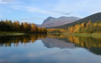 Vista of a lake and surrounding forests in Swedish Lapland