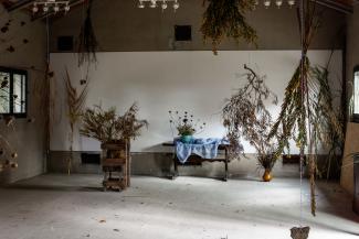 Studio at Villa Lena in Pisa