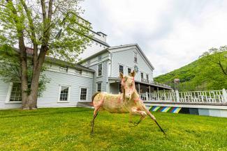 A decorative wooden horse in a frontyard lawn of a historic wooden building