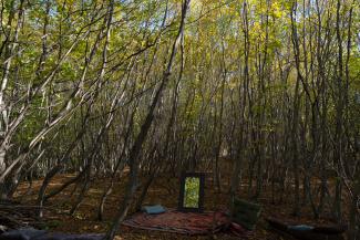 Saniao Arts, Georgia