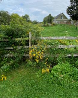 Shannaghe, USA