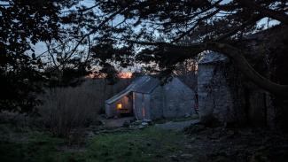 Wilds of Celtic Cornwall