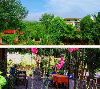 Art Junction Residency 