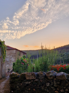 CASA PIP AiR