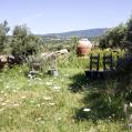 A flower meadow in Mediterranean mountains with in the background a ceramic wine vessel. 