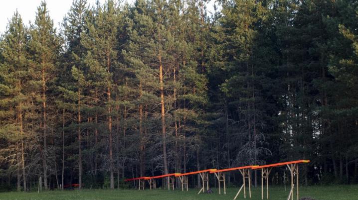 Art installation by Epp Kubu in a forest.