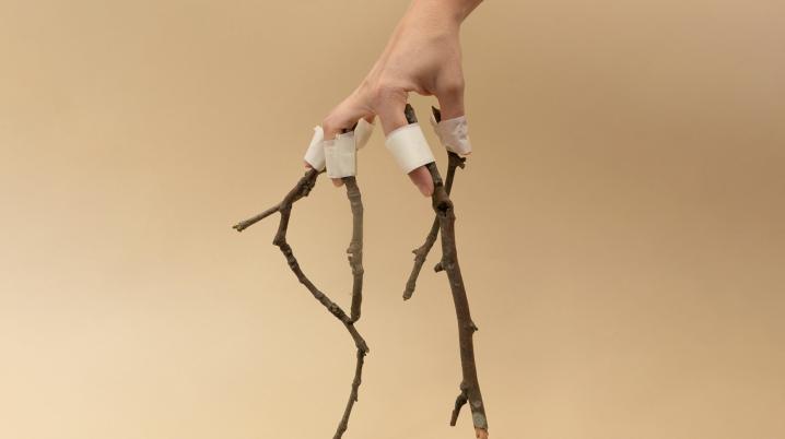 Hand holding wooden branches for Woodland Open Call