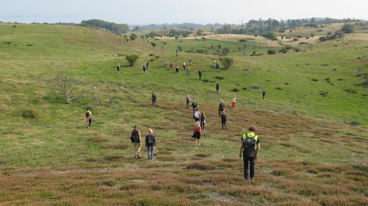 A dozen persons standing in a misty field, separated from each other and strolling alone through the heathland.