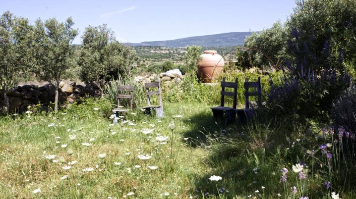 A flower meadow in Mediterranean mountains with in the background a ceramic wine vessel. 