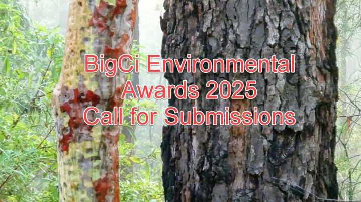 BigCi Environmental Awards 2025