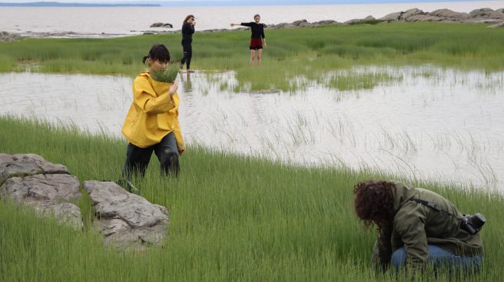 Performance «tas invisible» sur la rive du fleuve Saint-Laurent, 2024.