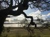 Edenhope Artist Residency, Australia