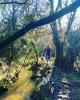 Wilds of Celtic Cornwall