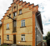 Kunstverein Global Forest