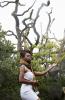 Bodhi Khaya Residency 