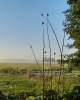 Farm Art