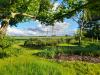 Farm Art