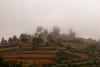 a misty hill with a building on top of it and terraces on the slope